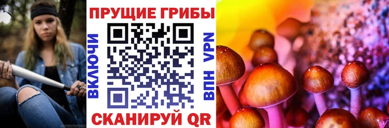 Псилоцибиновые грибы мицелий  Енисейск 
